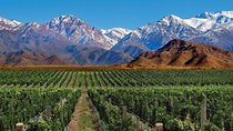 4-Day Trip to Mendoza and The Andes