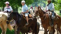 Private Day Tour to an Argentinian Estancia