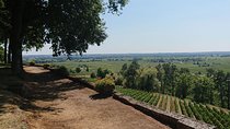 A day in Saint-Émilion and its Châteaux in a private tour (Van Luxe)