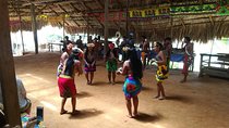Private Embera tribe Experience (waterfall with Lunch included)