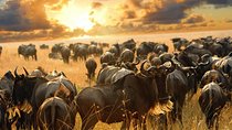 6 Days Masai Mara Wildebeest Migration Safari Holiday