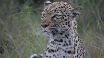 Uganda Wildlife & Activity Holiday - 15 Days
