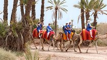 Half Day Marrakech Camel Safari