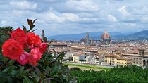 Florence Must See Private Day Tour from Rome