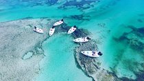 Key West Safari Eco Sandbar Tour Adventure with Snorkeling