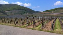 Private excursion: the best of Alsace in one day !