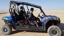 Family Buggy Sharm El Sheikh