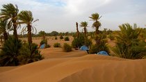 Marrakech Desert Tour to Zagora and Draa Valley and Palm Grove