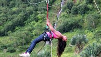 Zip line tour & Cradle of Human Kind Private 