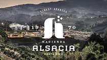 Hacienda Alsacia Starbucks Coffe Tour