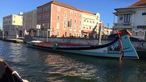 Private tour Aveiro & Coimbra + Moliceiro Tour