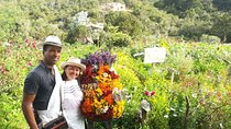 Santa Elena trip: Silleteros and Flower Farm Cultural Tour