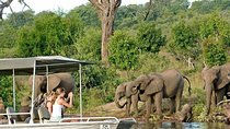 Chobe Full Day Trip