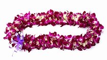 Deluxe Orchid Lei Greeting (Maui, Kahului Airport, OGG)
