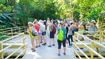 Manuel Antonio Park Tour