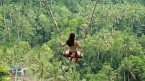 Ubud Private Tours with Jungle Swing Experience - all inclusive
