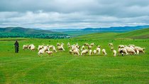 Private Transfer between Beijing and Bashang Grassland in Mulan Weichang