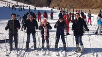 Private Round-Trip Transfer to Huaibei Internationa Ski Resort From Beijing