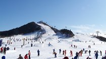 Private Round-Trip Transfer to Wanlong Ski Resort From Beijing