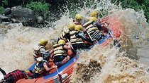 Padas River White Water Rafting from Kota Kinabalu (Grade 3 & 4)
