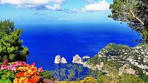 Capri Private Day Tour with Private Island Boat Tour from Rome