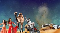 Desert Safari Dubai Quad Bike, Camel Ride , Vip Majlis, All Exclusive Services