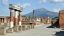 Pompeii Wheelchair Accessible Private Tour with Pick Up