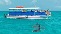 Key West Dolphin Watch and Snorkel Tour - Eco Adventure