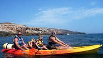 Kayak Tour in the Marine Reserve !