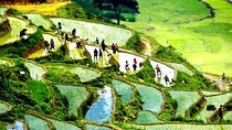 Sapa 2D1N All Included (Bus & Homestay)