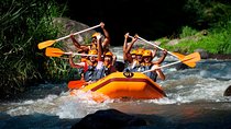 Bali Ayung River White Water Rafting with Transport