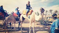 Camel Ride Experience Around Marrakech
