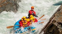 Shotover River Rafting Trip from Queenstown