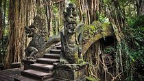 Bali : Full Day Traditional Village & Sightseeing 
