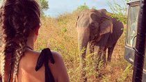 4 Day Tour to Kandy Nuwara Eliya Ella & udawalawe safari from Colombo