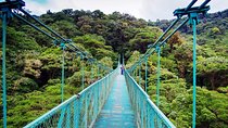 Monteverde Hanging Bridges Day Trip from San Jose