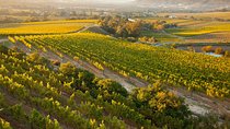 Cape Town: Winelands Private Half Day Tour