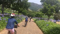Constantia Hidden Gem Cycle Full Day - Private Tour