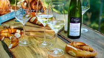 Winemaker's aperitif with Wine Tour and Wine Tasting