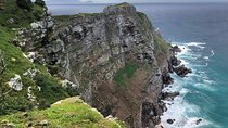 Private Day Tour to Cape Point , Penguins, Wine or Beer Tasting
