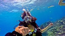Hurghada: 6-Hour Dive Trip with Two Dive Sites