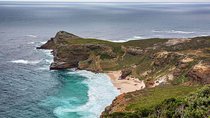 Cape Peninsula Full Day Tour