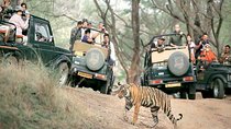 Golden Triangle Tour With Safari ( Ranthambore )8 Days Tour.