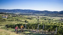 Secret vineyards E-bike tour