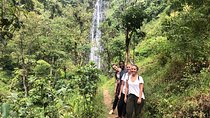 Materuni Waterfalls & Chemka Hot Spring Day Tour