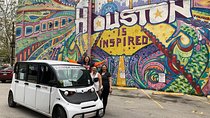 Private Houston Mural Instagram Tour by Cart