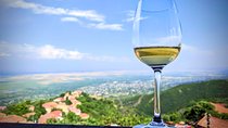 Amber Wines Tour: Best of Kakheti wines + Telavi, Signagi, Tsinandali