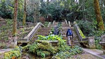 An adventure through the Forest and Palace of Bussaco - Coimbra