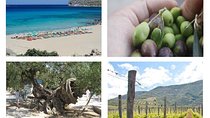Wine and Olive,Falasarna Beach Group Tour up 15 persons