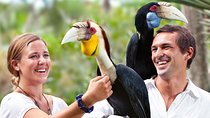 Bali Bird Park Entrance Tickets